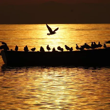 Vista Makarska